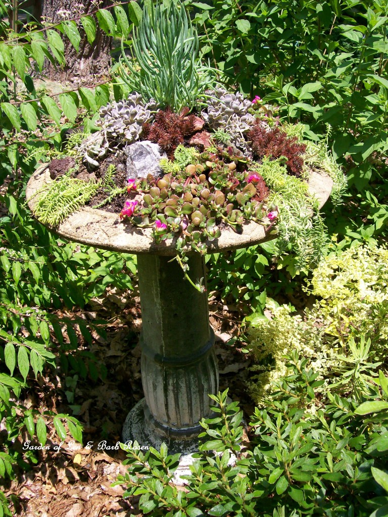 Succulent Birdbath http://ourfairfieldhomeandgarden.com/upcyclerecycle-project-creating-a-succulent-garden-birdbath/