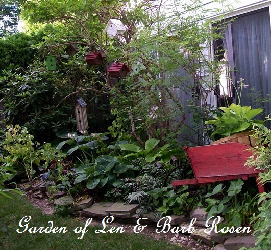 tiny side yard garden http://ourfairfieldhomeandgarden.com/a-trip-down-memory-lane-my-former-garden/