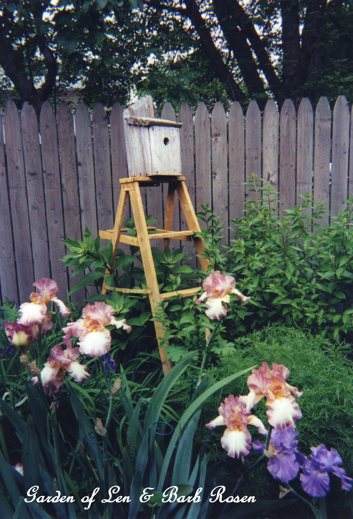 birdhouse ladder http://ourfairfieldhomeandgarden.com/a-trip-down-memory-lane-my-former-garden/