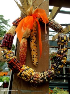 Here's the corn cob wreath I spotted in a garden center for $15 !