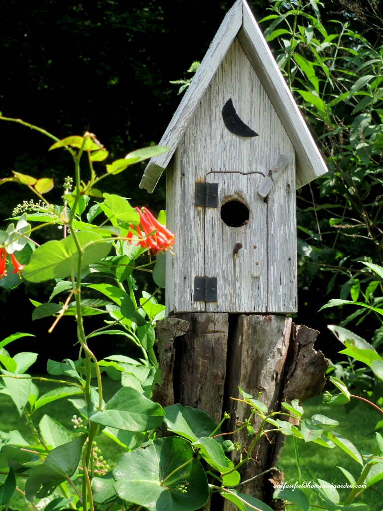 Birdhouse on the fencepost http://ourfairfieldhomeandgarden.com/in-a-summer-garden-our-fairfield-home-garden/