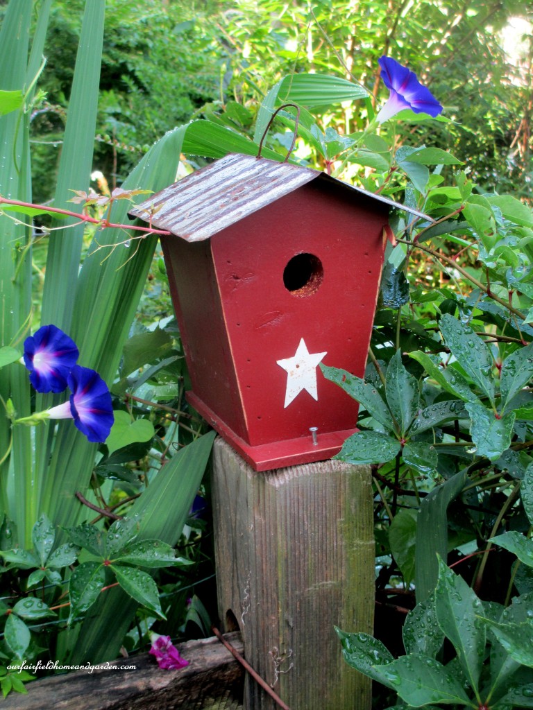 Morning Glories & Birdhouse http://ourfairfieldhomeandgarden.com/in-a-summer-garden-our-fairfield-home-garden/