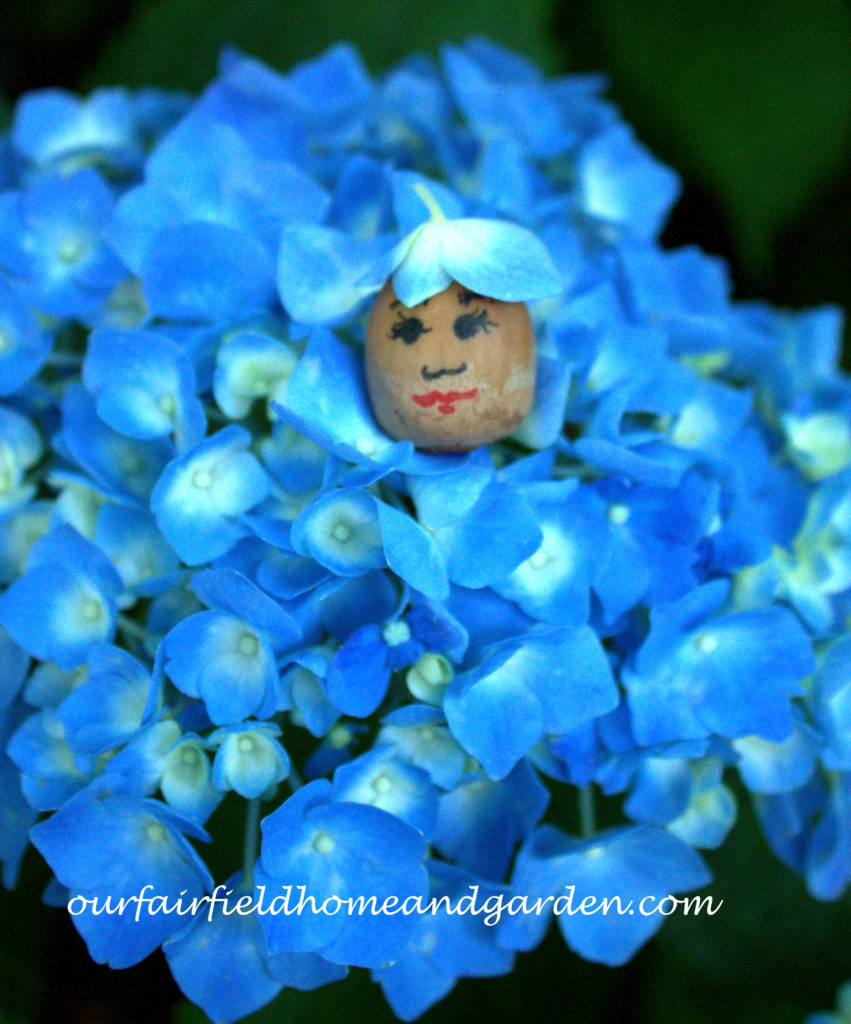Flower Fairies http://ourfairfieldhomeandgarden.com/flower-fairies/