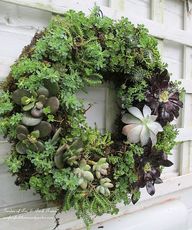 DIY Project ~ Make Y