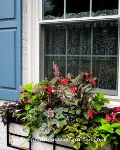 Summer Window Boxes ~ mixing annuals, houseplants and perennials for all-season impact – Our Fairfield Home & Garden