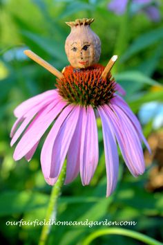 Flower Fairies