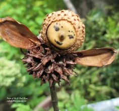 Make your own garden