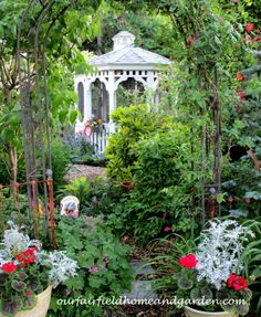 Garden Musings at Our Fairfield Home and Garden