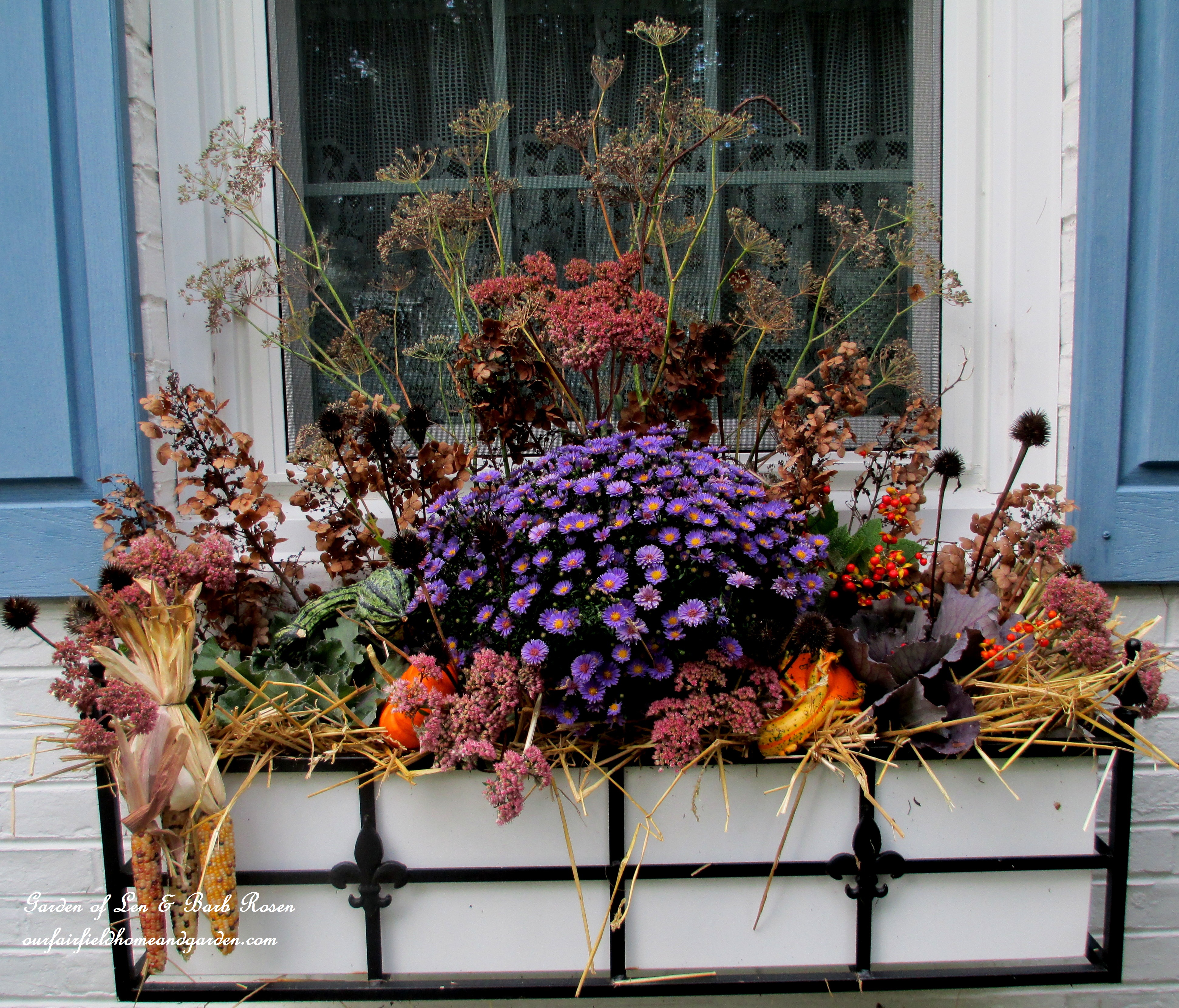 Window Box – Our Fairfield Home & Garden