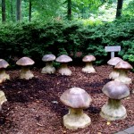 https://ourfairfieldhomeandgarden.com/field-trip-winterthurs-faerie-garden-at-enchanted-woods/