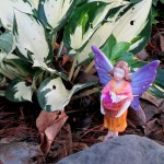 https://ourfairfieldhomeandgarden.com/diy-project-create-your-own-fairy-terrarium/