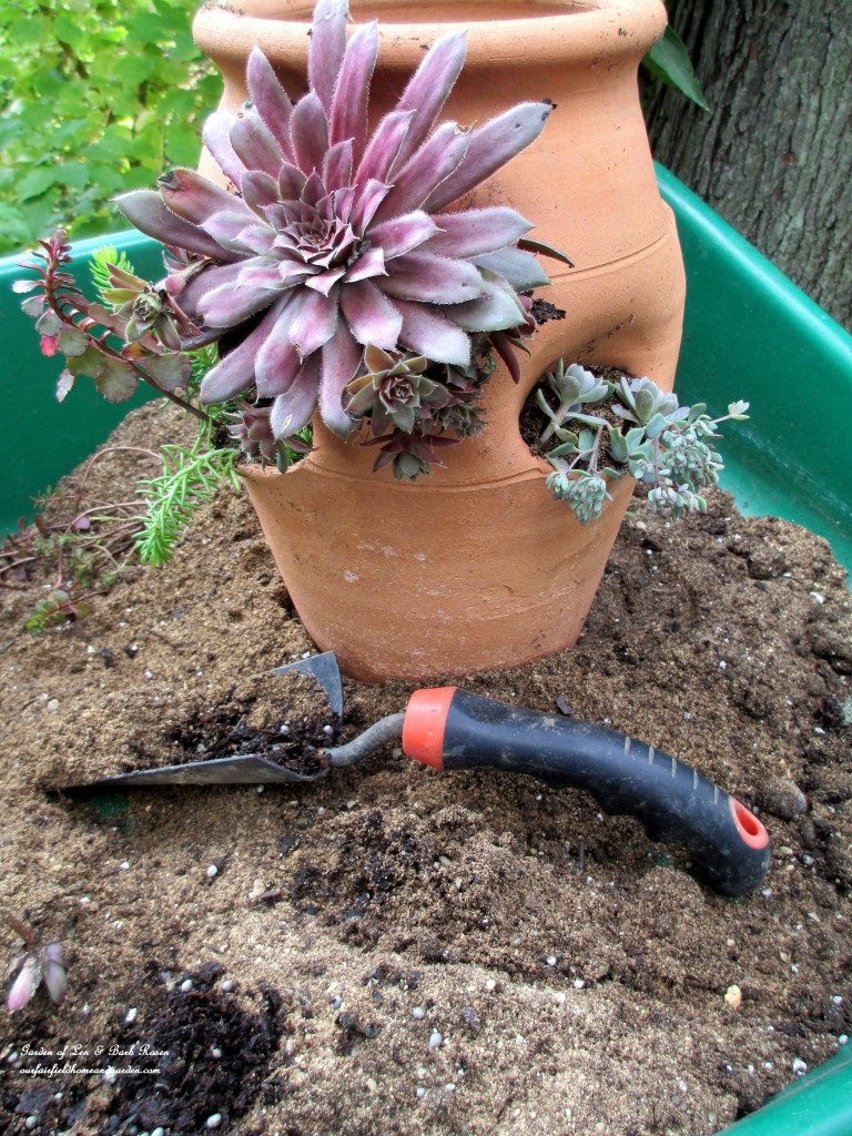 https://ourfairfieldhomeandgarden.com/diy-project-succulent-planter-pot/
