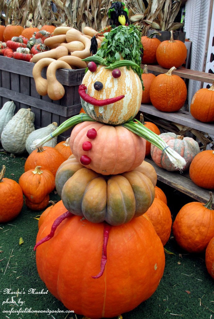 Veggie Man https://ourfairfieldhomeandgarden.com/field-trip-gourds-galore-and-norman-the-pot-bellied-pig-at-marinis-market/