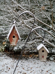 birdhouses in the snow
