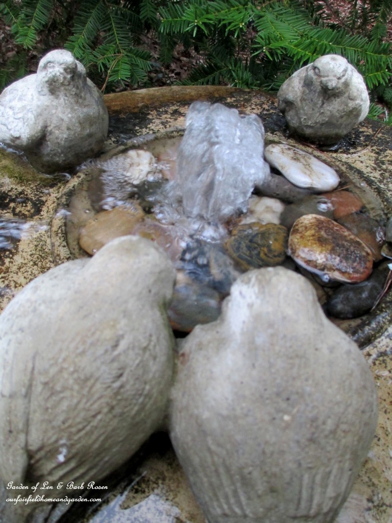 Bird Bath Fountain  https://ourfairfieldhomeandgarden.com/april-18th-whats-blooming-today/