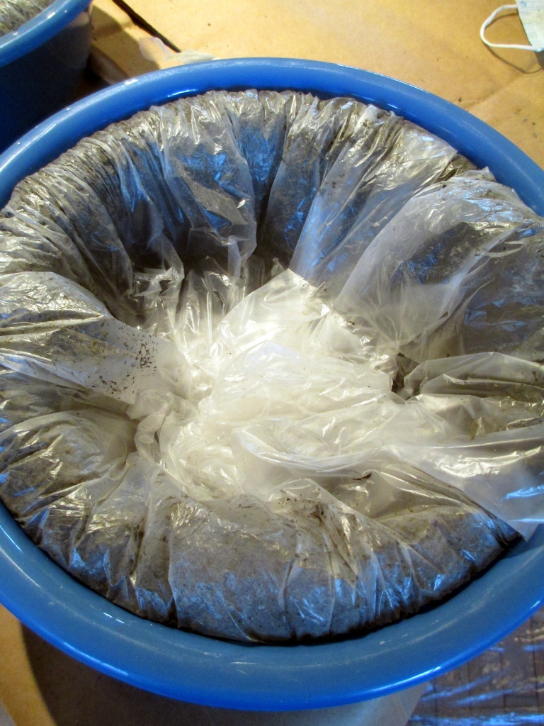 Step #  ~ Now cover your pot by folding in the excess plastic bag.