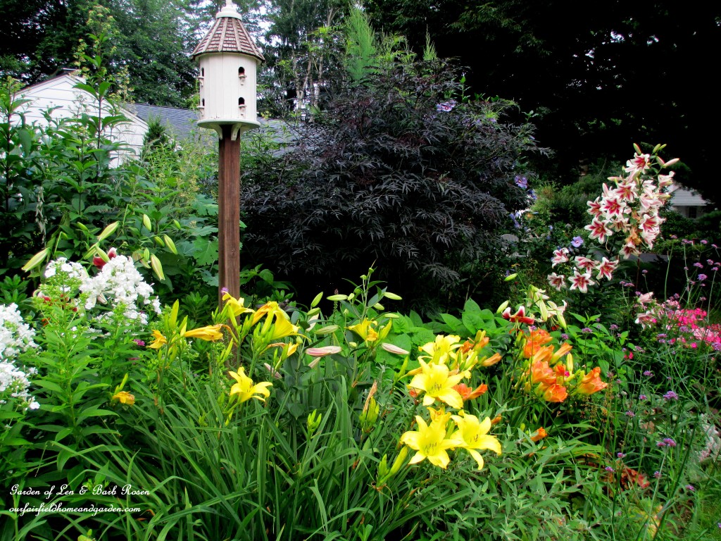 Barb Rosen's front perennial island bed