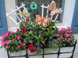 Summer Window Box https://ourfairfieldhomeandgarden.com/garden-walk-my-summer-garden/