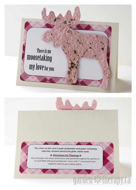 plantable valentine cards http://gardentherapy.ca/seed-paper-v-day-cards/
