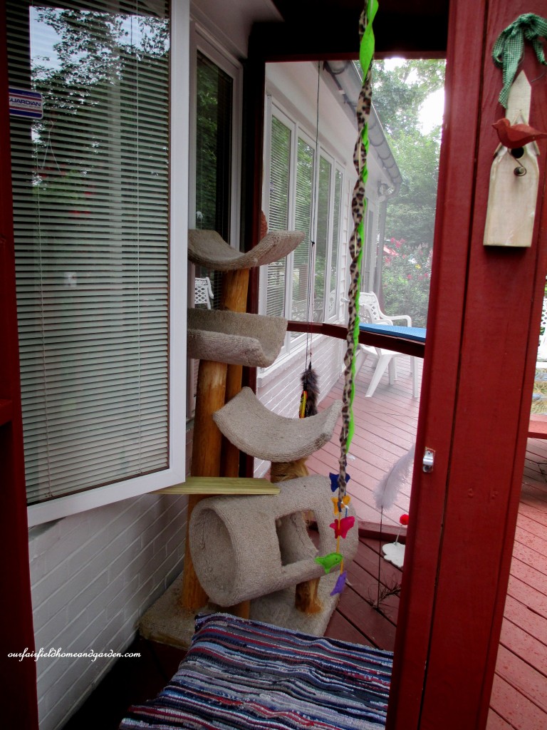 Catio https://ourfairfieldhomeandgarden.com/build-a-catio-a-tiny-screen-house-for-kitty-cats/