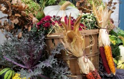 Fall Windowbox ~ Harvest Bushel Basket