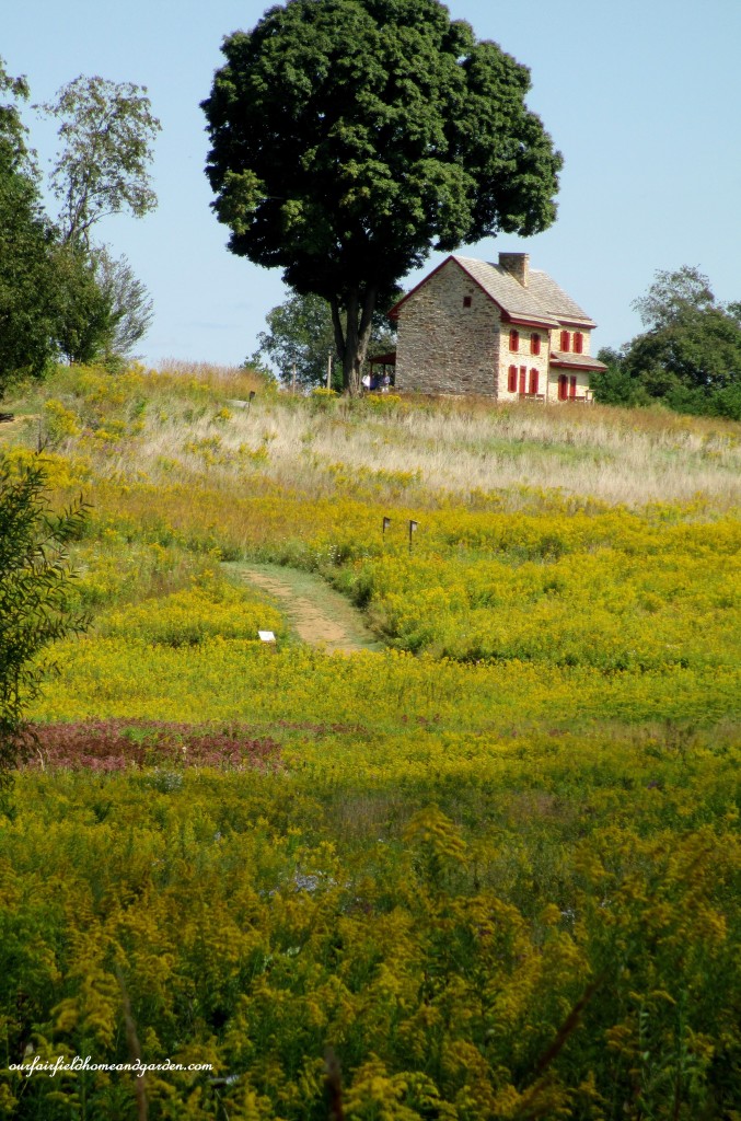 Webb Farmhouse https://ourfairfieldhomeandgarden.com/longwood-gardens-a-walk-in-the-meadow/
