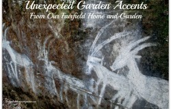 Unexpected Garden Accents ~ the making of a unique garden