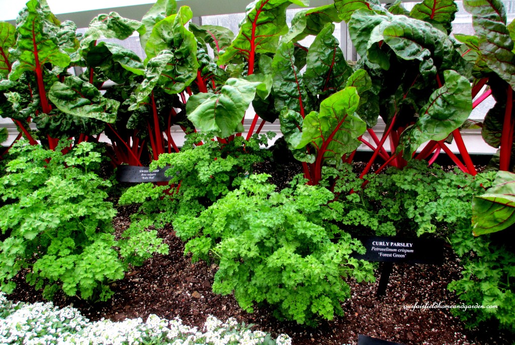 Greenhouse Vegetables https://ourfairfieldhomeandgarden.com/a-visit-to-longwood-gardens-orchid-extravaganza-2015/