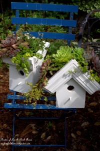 DIY Greenroof Birdhouses https://ourfairfieldhomeandgarden.com/diy-easy-greenroof-birdhouses/