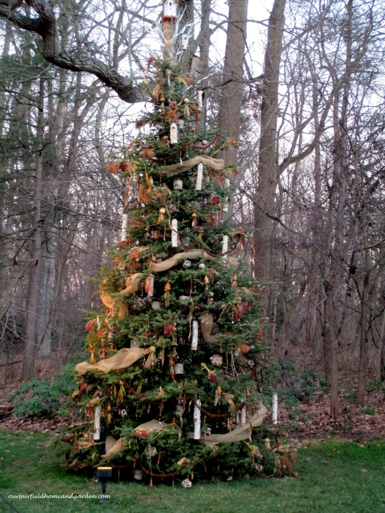 Bird Tree https://ourfairfieldhomeandgarden.com/a-longwood-christmas-evening-stroll/