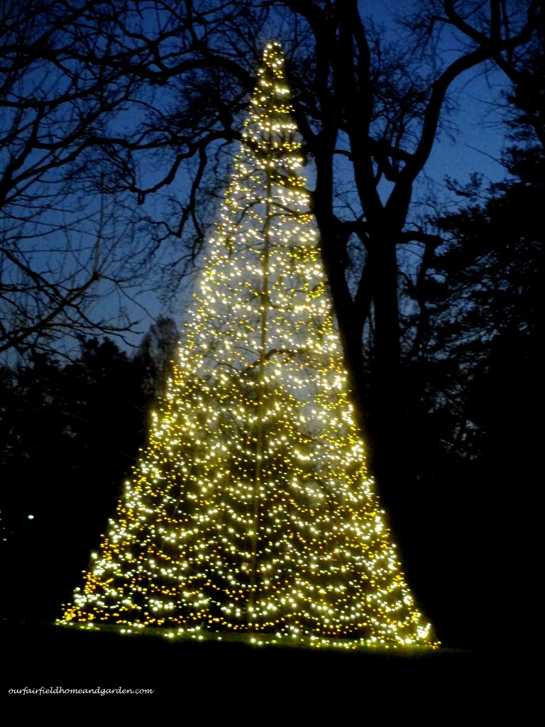 Longwood Christmas https://ourfairfieldhomeandgarden.com/a-longwood-christmas-evening-stroll/