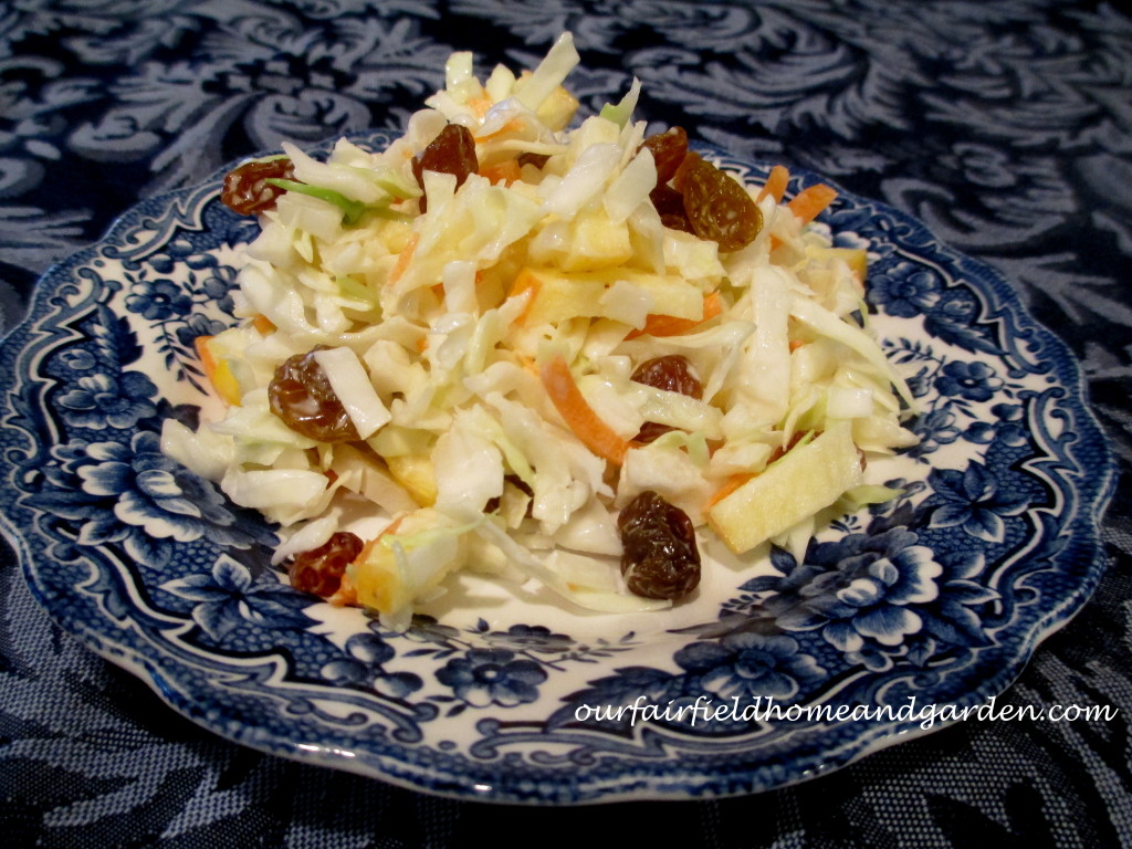 Fruity Coleslaw https://ourfairfieldhomeandgarden.com/fruity-coleslaw-a-healthy-recipe-from-our-fairfield-home-garden/