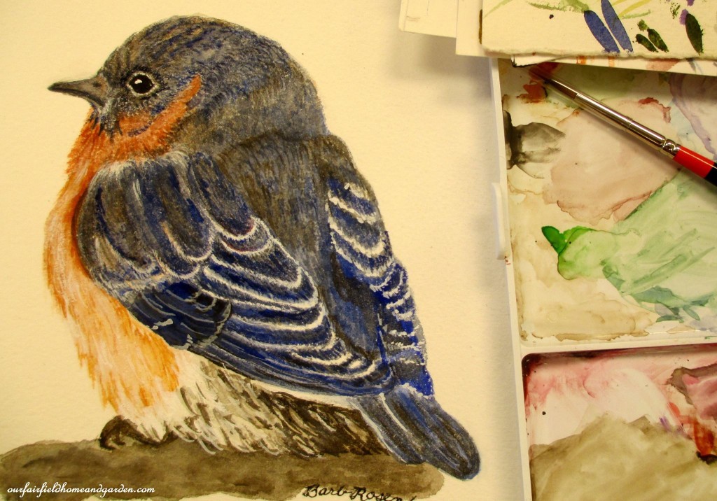 Baby Blue Bird painted by Barb Rosen http://ourfairfieldhomeandgarden.bigcartel.com/