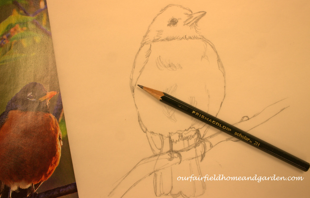 Painting a Robin https://ourfairfieldhomeandgarden.com/painting-a-robin-step-by-step/
