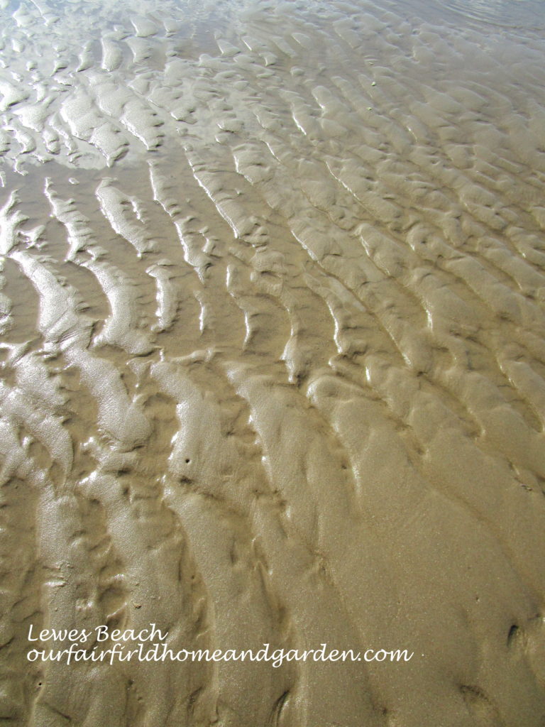 Lewes Beach, DE https://ourfairfieldhomeandgarden.com/field-trip-lewes-beach-get-a-way/