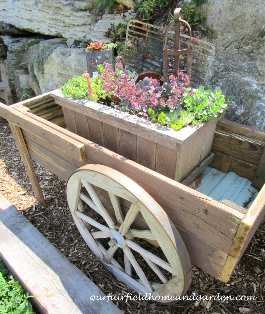 Country Lane Succulents https://ourfairfieldhomeandgarden.com/field-trip-country-lane-succulents-new-holland-pa/