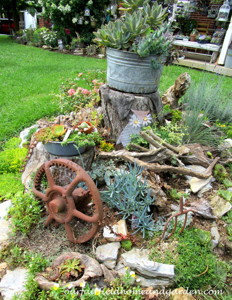 Country Lane Succulents https://ourfairfieldhomeandgarden.com/field-trip-country-lane-succulents-new-holland-pa/