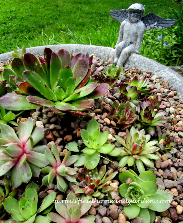 https://ourfairfieldhomeandgarden.com/repurposed-birdbath-succulent-planter/